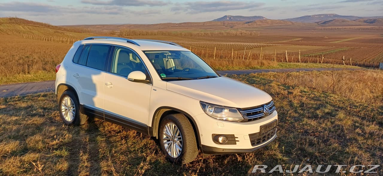 2014 Volkswagen Tiguan - 3