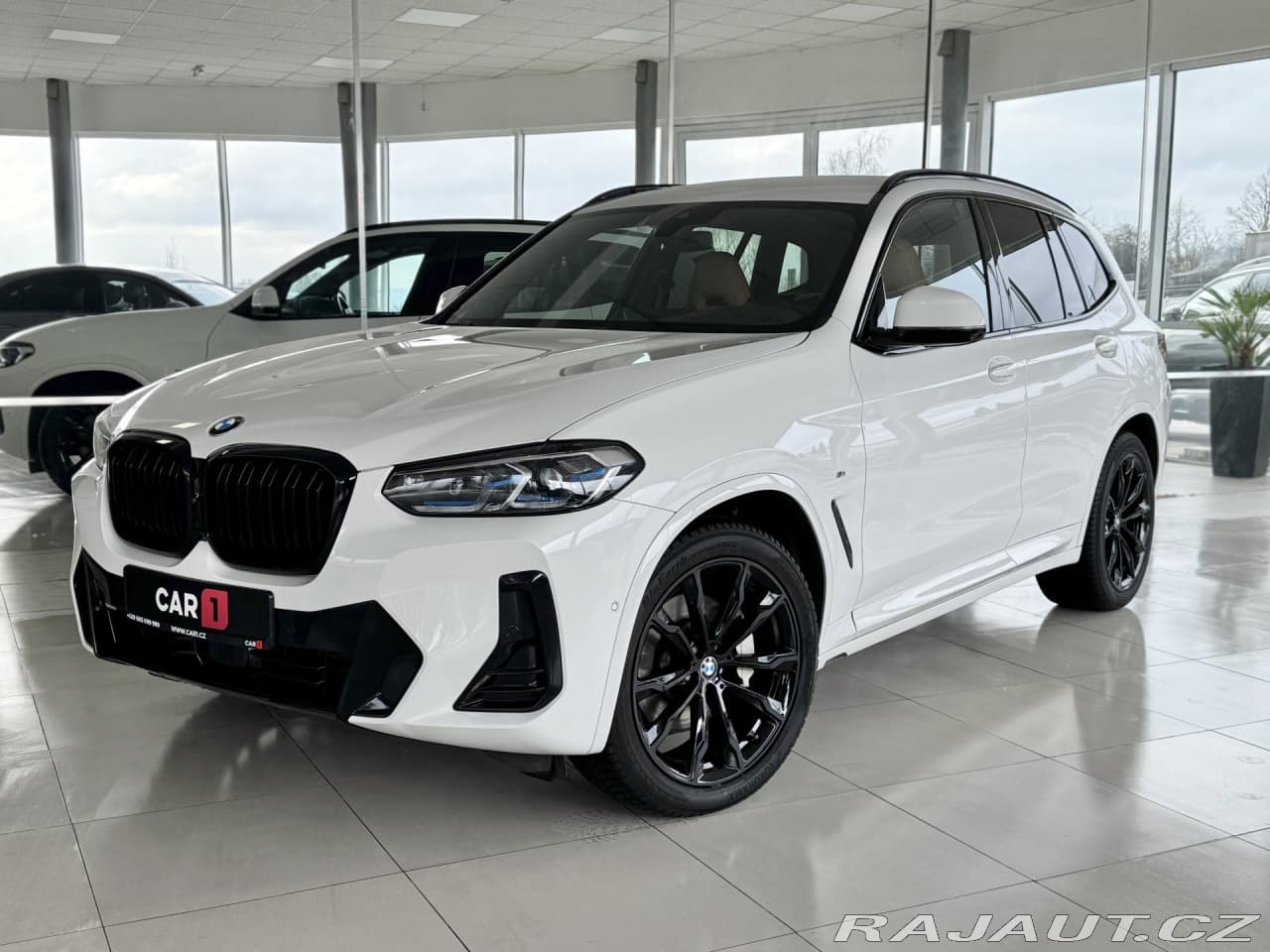 BMW X3 30d xDrive*M-SPORT*Laser*