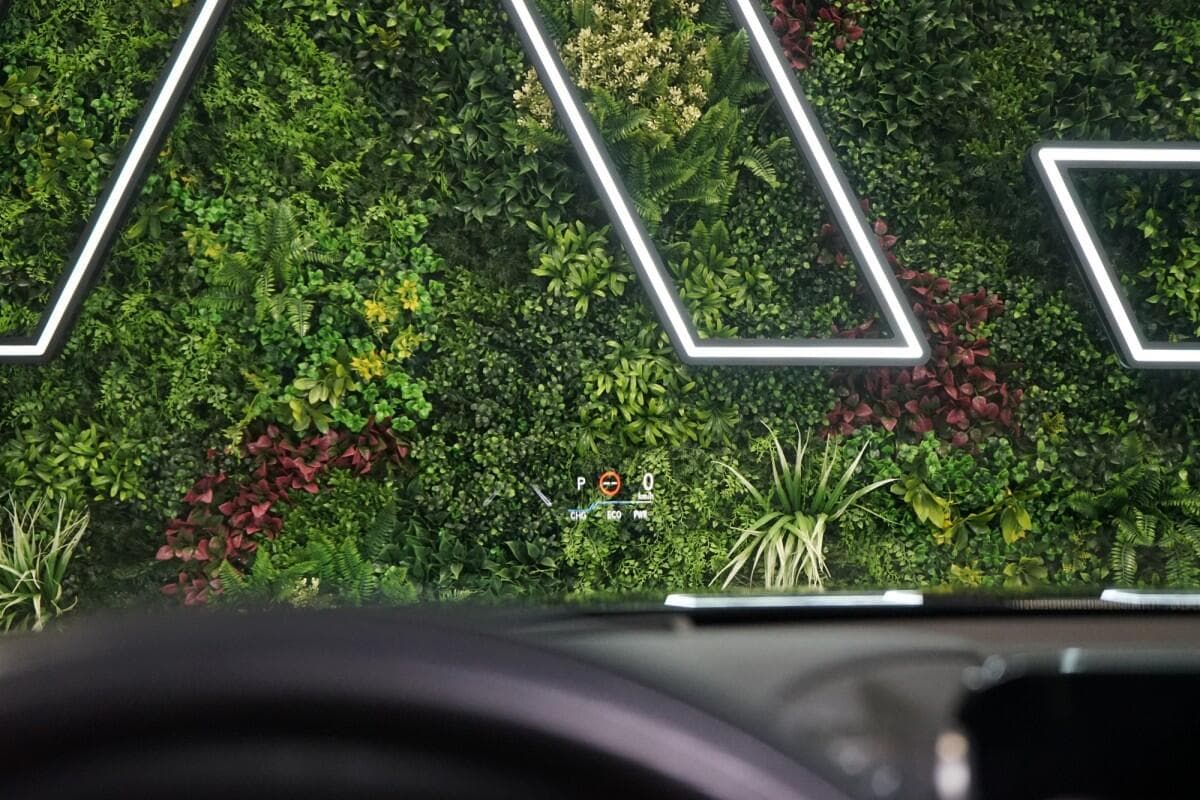 2024 Lexus Ostatní - 11