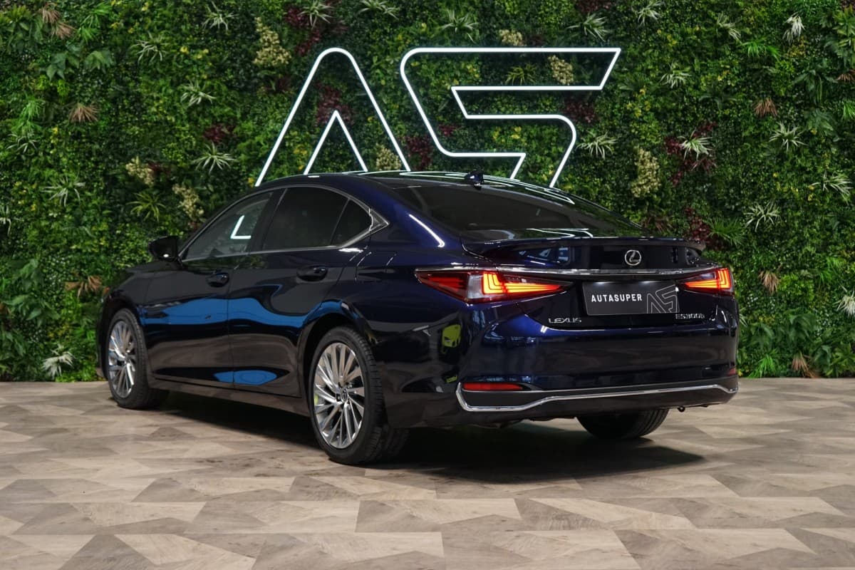 2024 Lexus Ostatní - 5