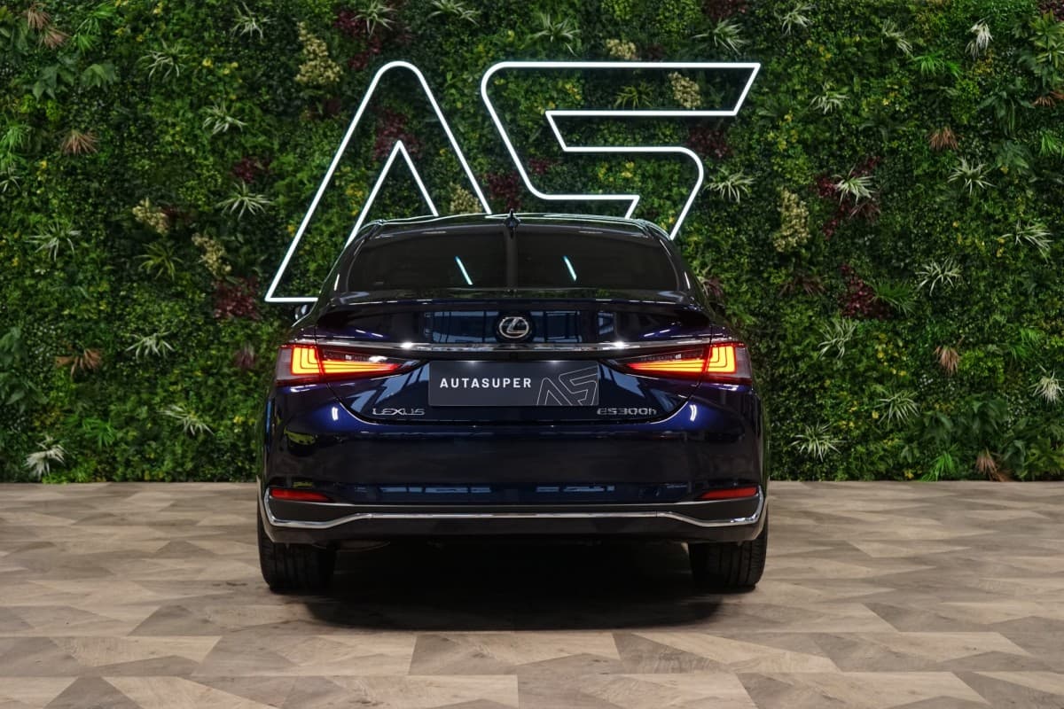 2024 Lexus Ostatní - 6