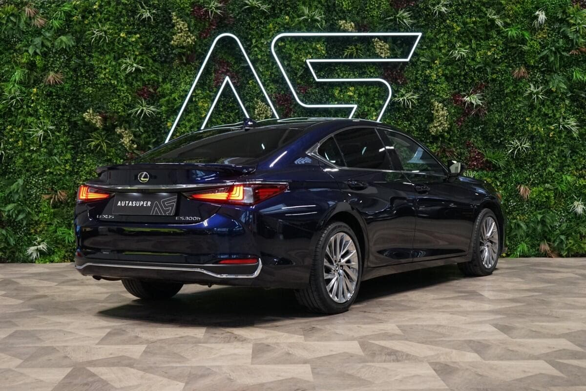 2024 Lexus Ostatní - 7