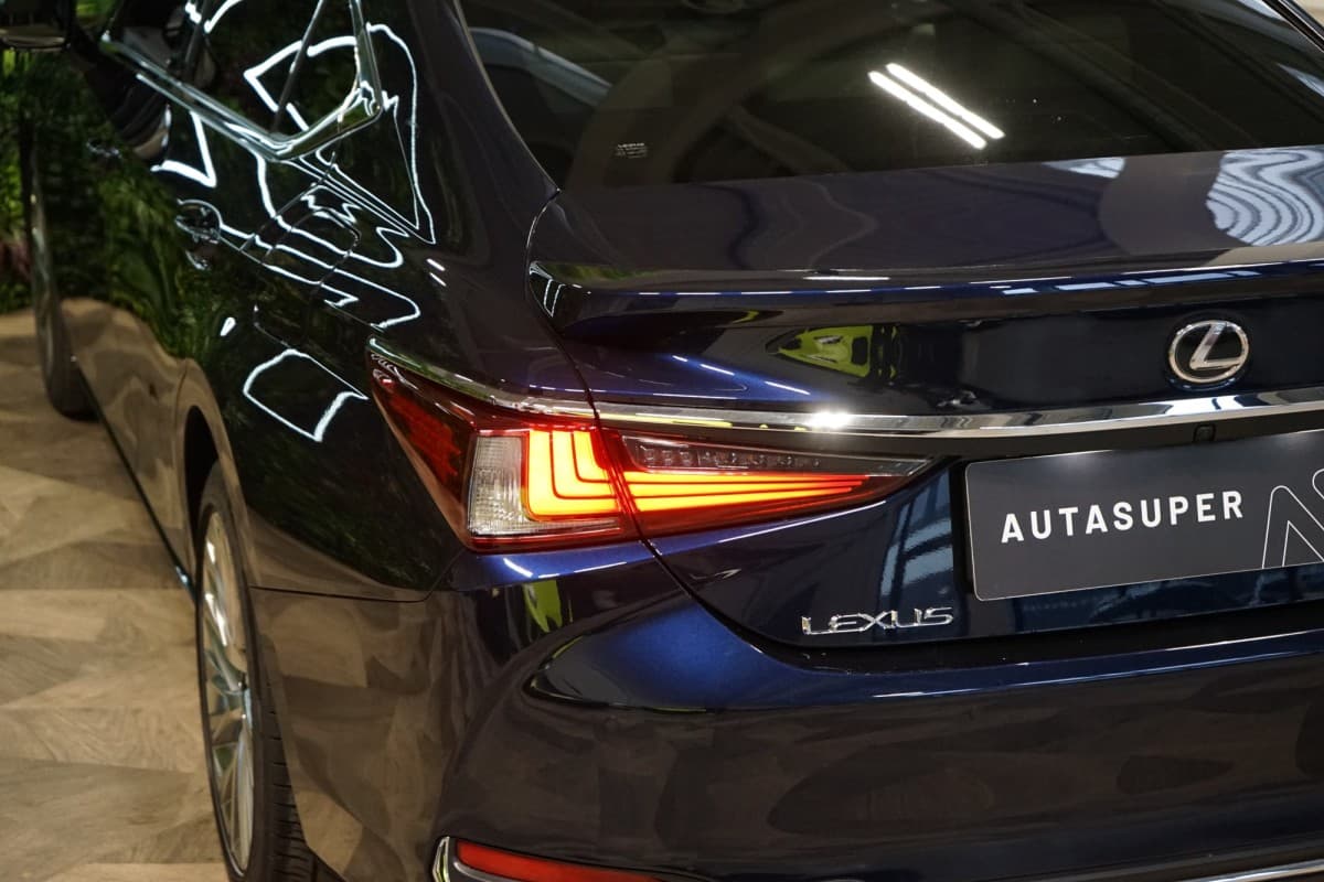 2024 Lexus Ostatní - 8