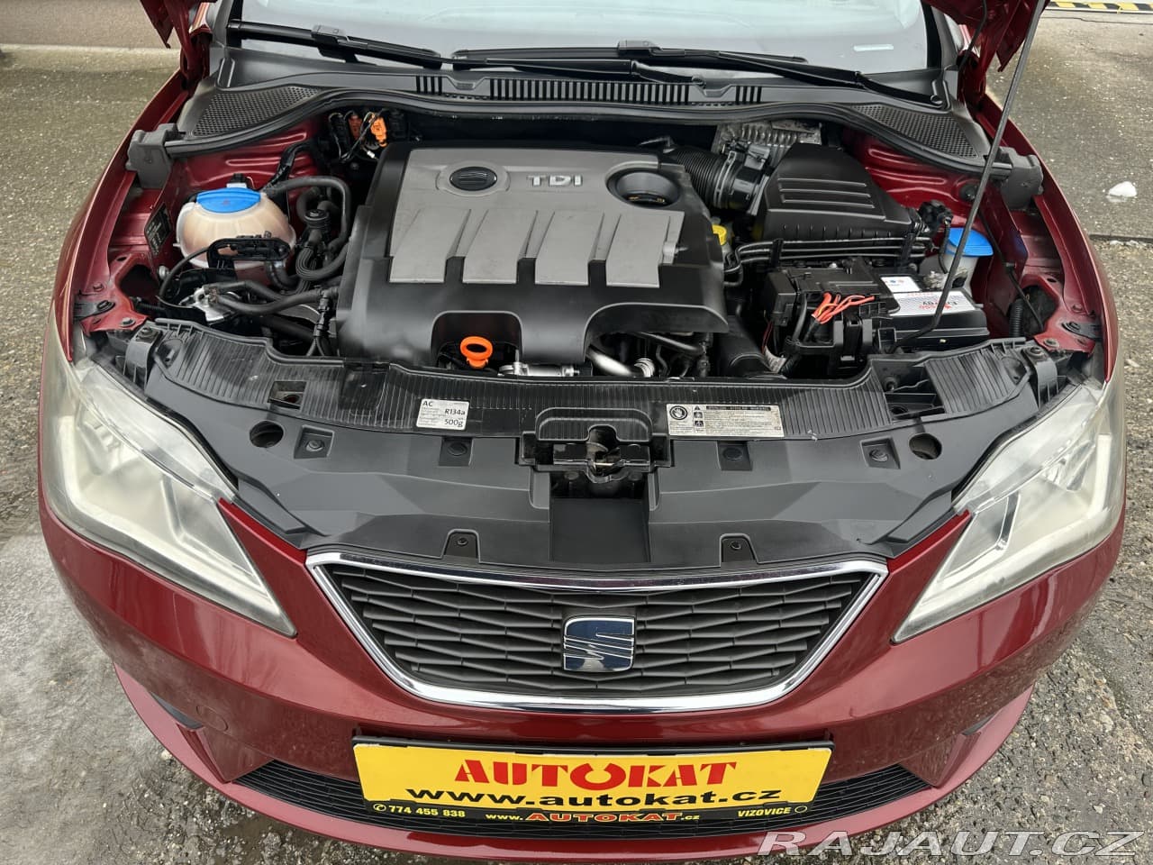 2013 Seat Ibiza - 17