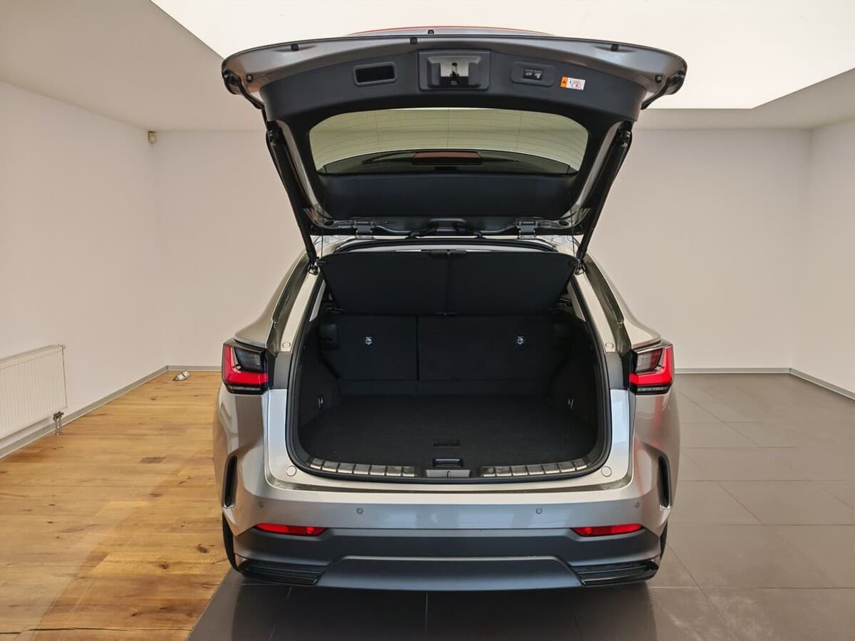 2024 Lexus Ostatní - 10