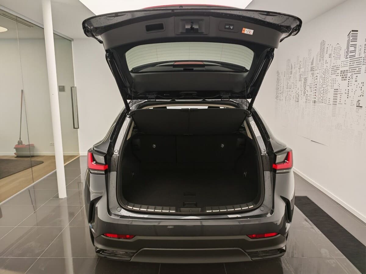 2025 Lexus Ostatní - 12