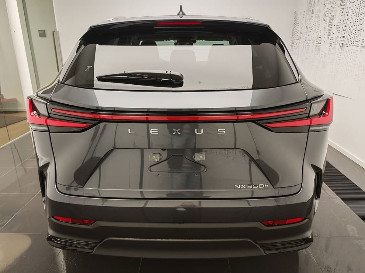 2025 Lexus Ostatní - 5