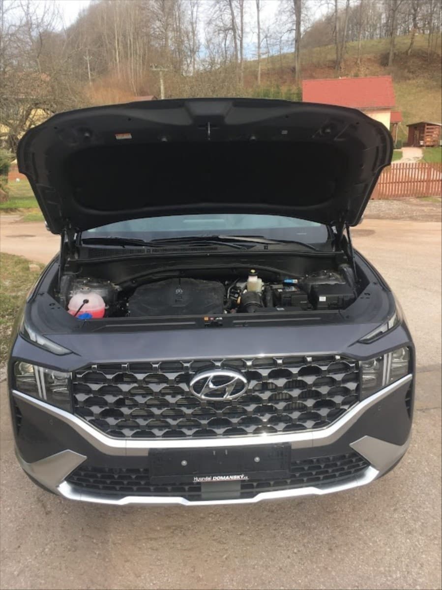 2021 Hyundai Santa Fe - 6