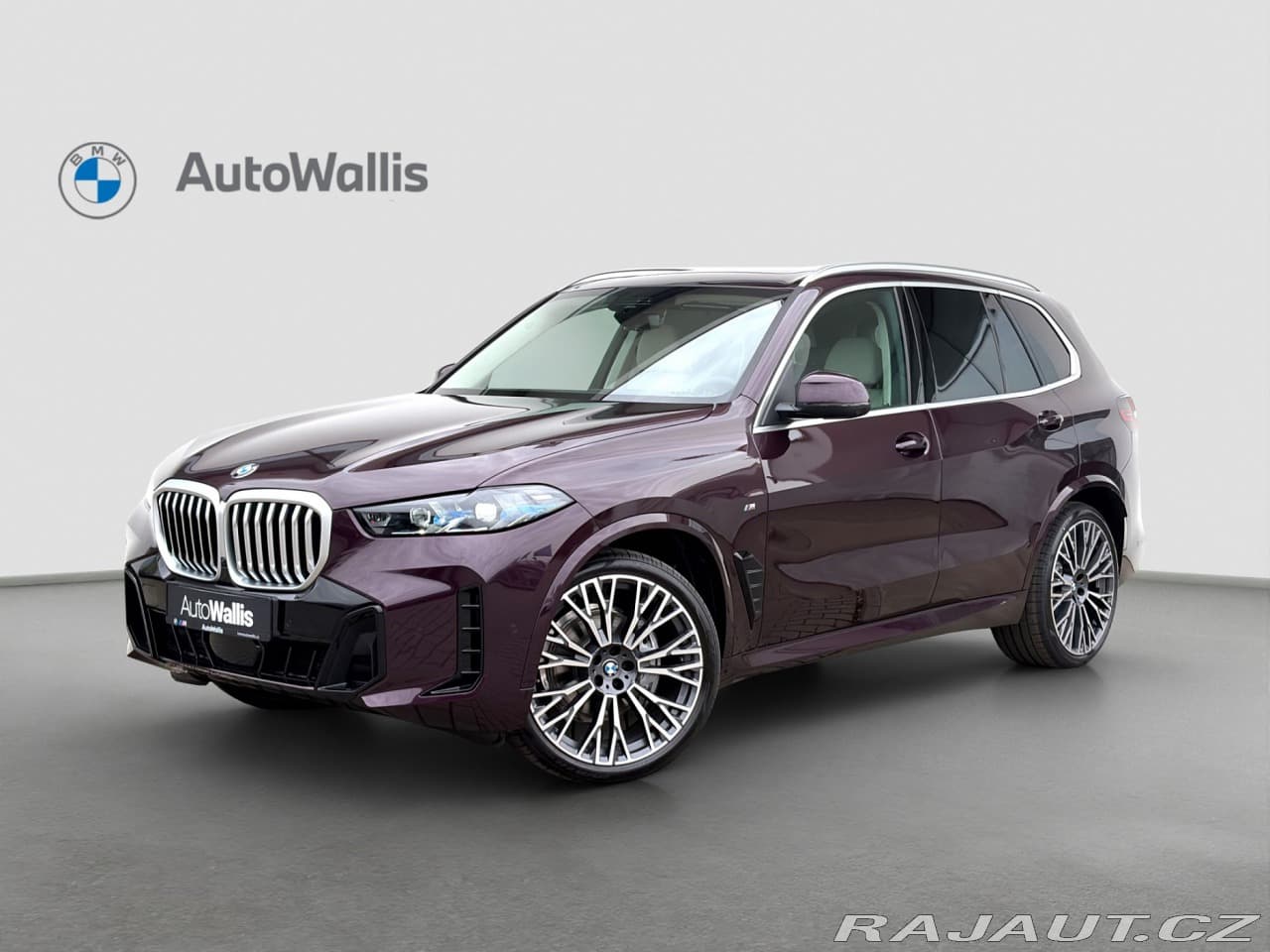 2025 BMW X5