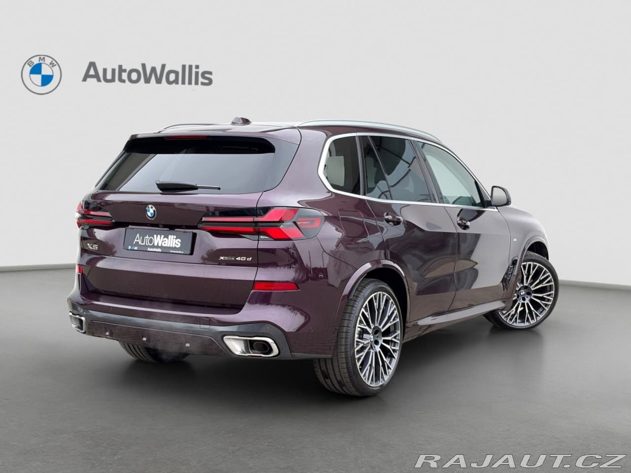 2025 BMW X5 - 2