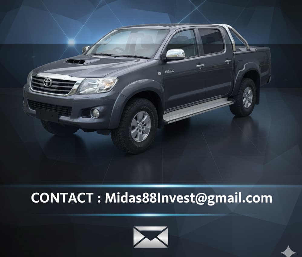 2011 Toyota HILUX - 2