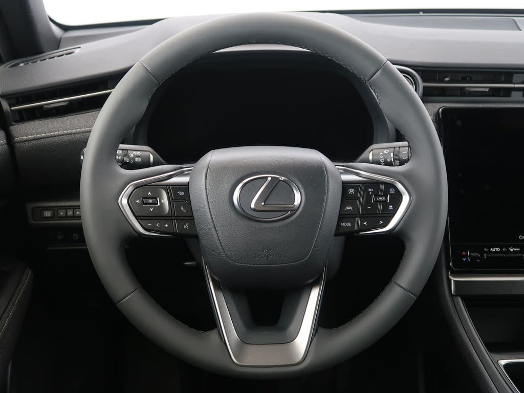 2024 Lexus OSTATNÍ - 14