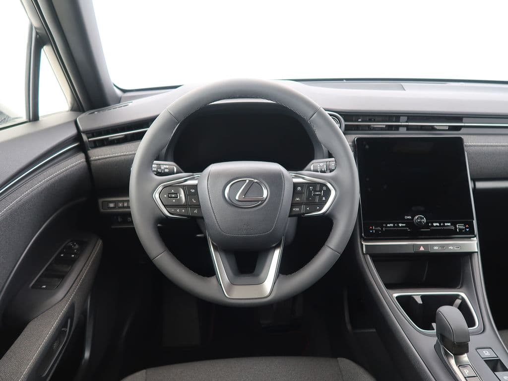 2024 Lexus OSTATNÍ - 15