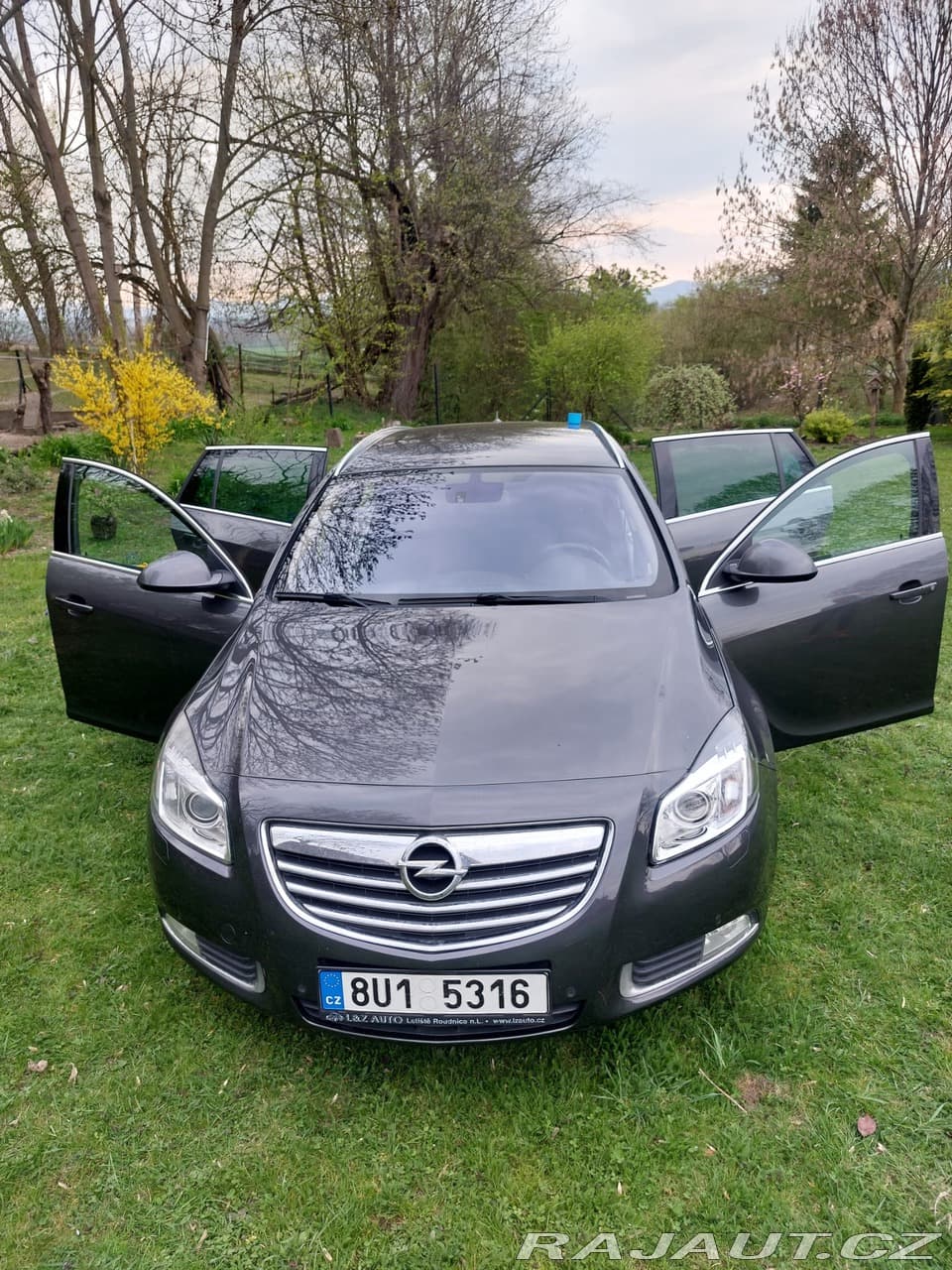 2010 Opel INSIGNIA - 3