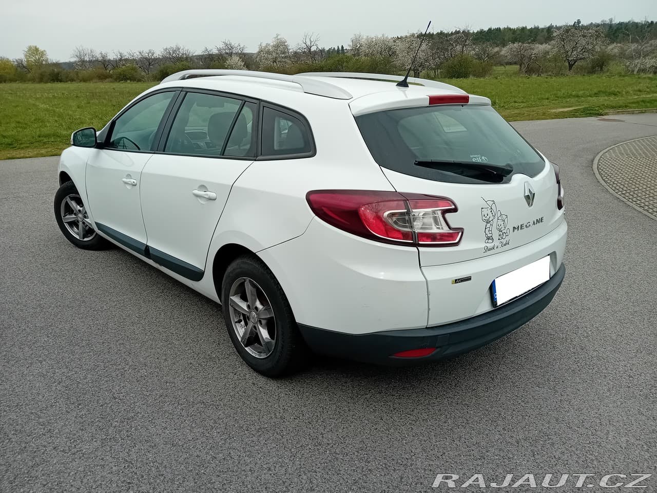 2010 Renault MEGANE - 3