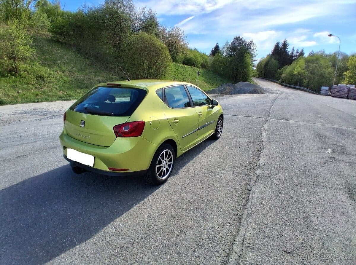 2010 Seat IBIZA - 10
