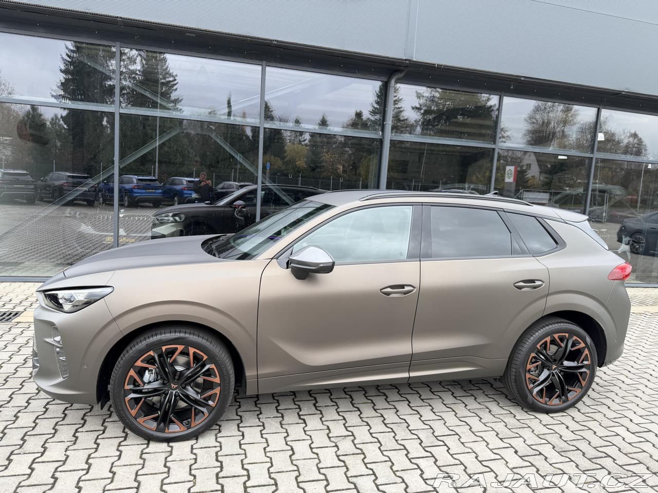 2026 Cupra TERRAMAR - 4