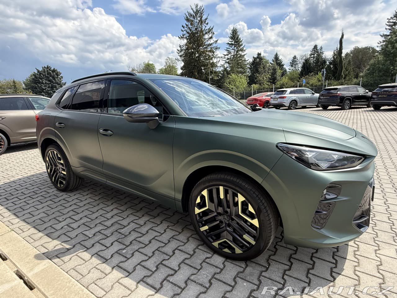 2026 Cupra TERRAMAR - 12