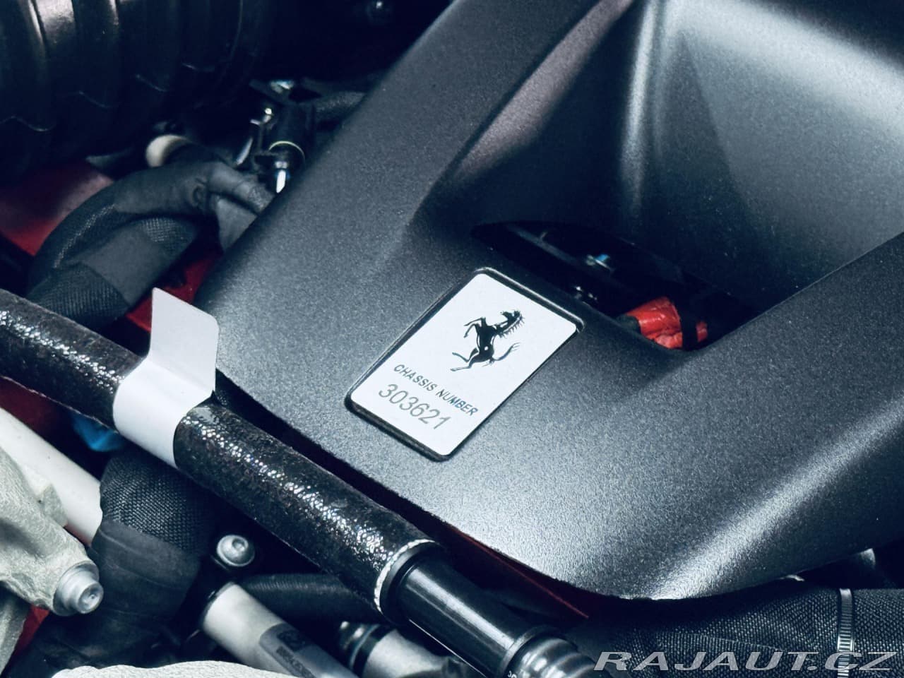 2025 Ferrari PUROSANGUE - 11