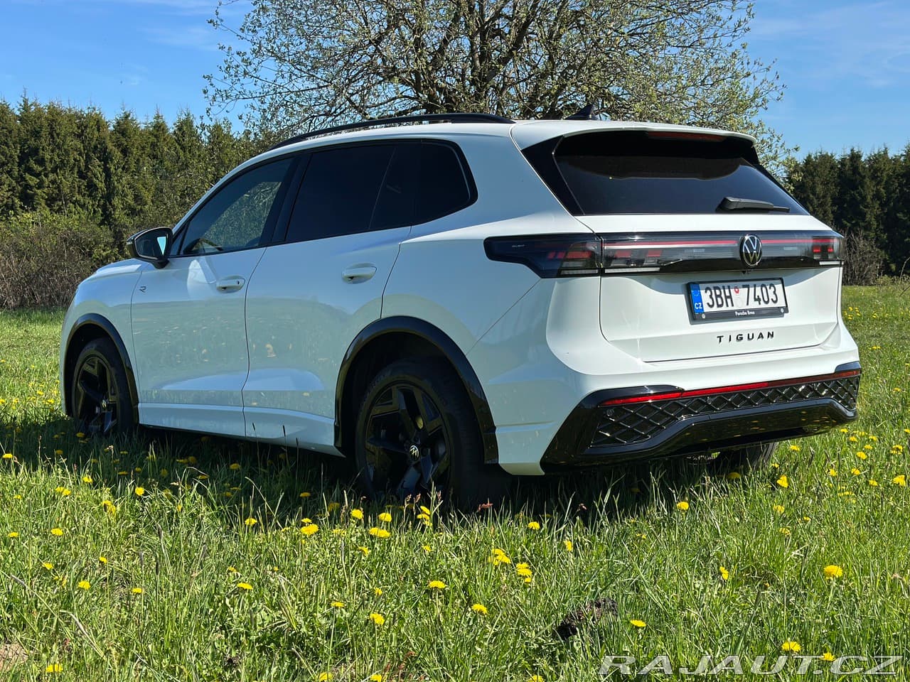 2024 Volkswagen TIGUAN - 6