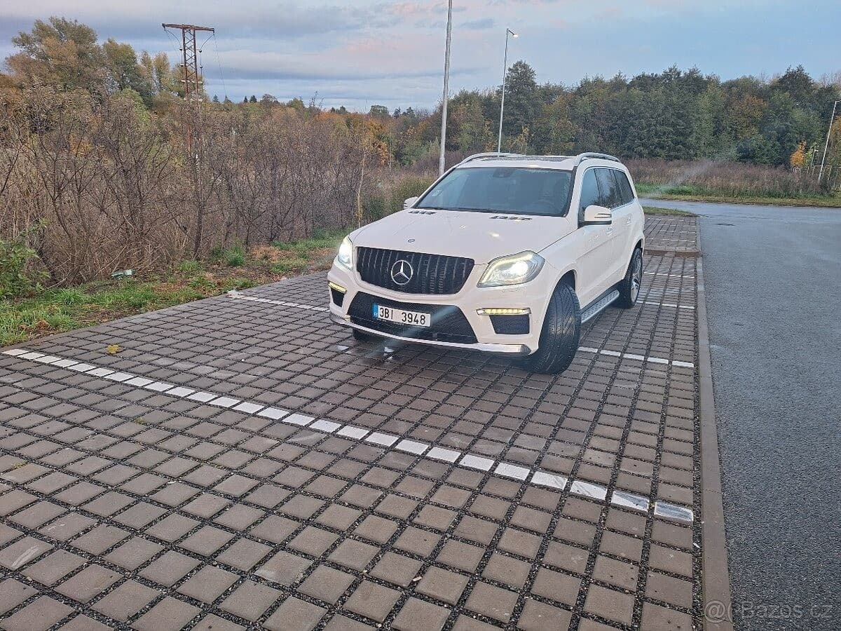 2013 Mercedes-Benz GL - 10