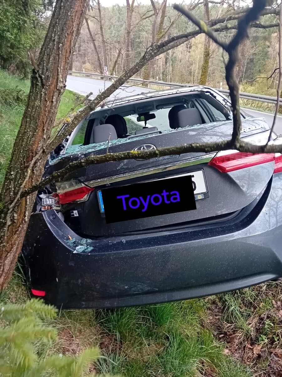 2019 Toyota COROLLA - 3