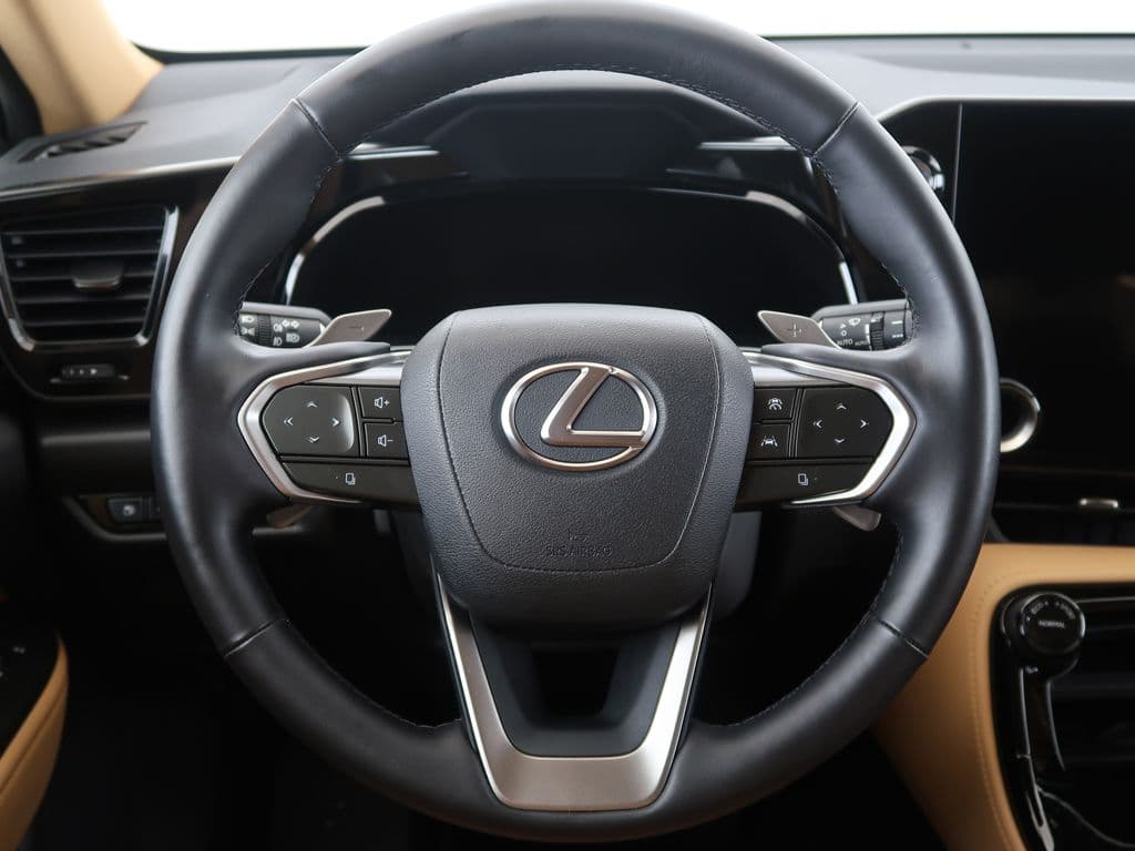 2024 Lexus OSTATNÍ - 15