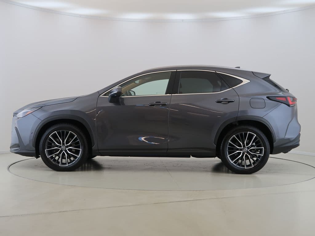 2024 Lexus OSTATNÍ - 8