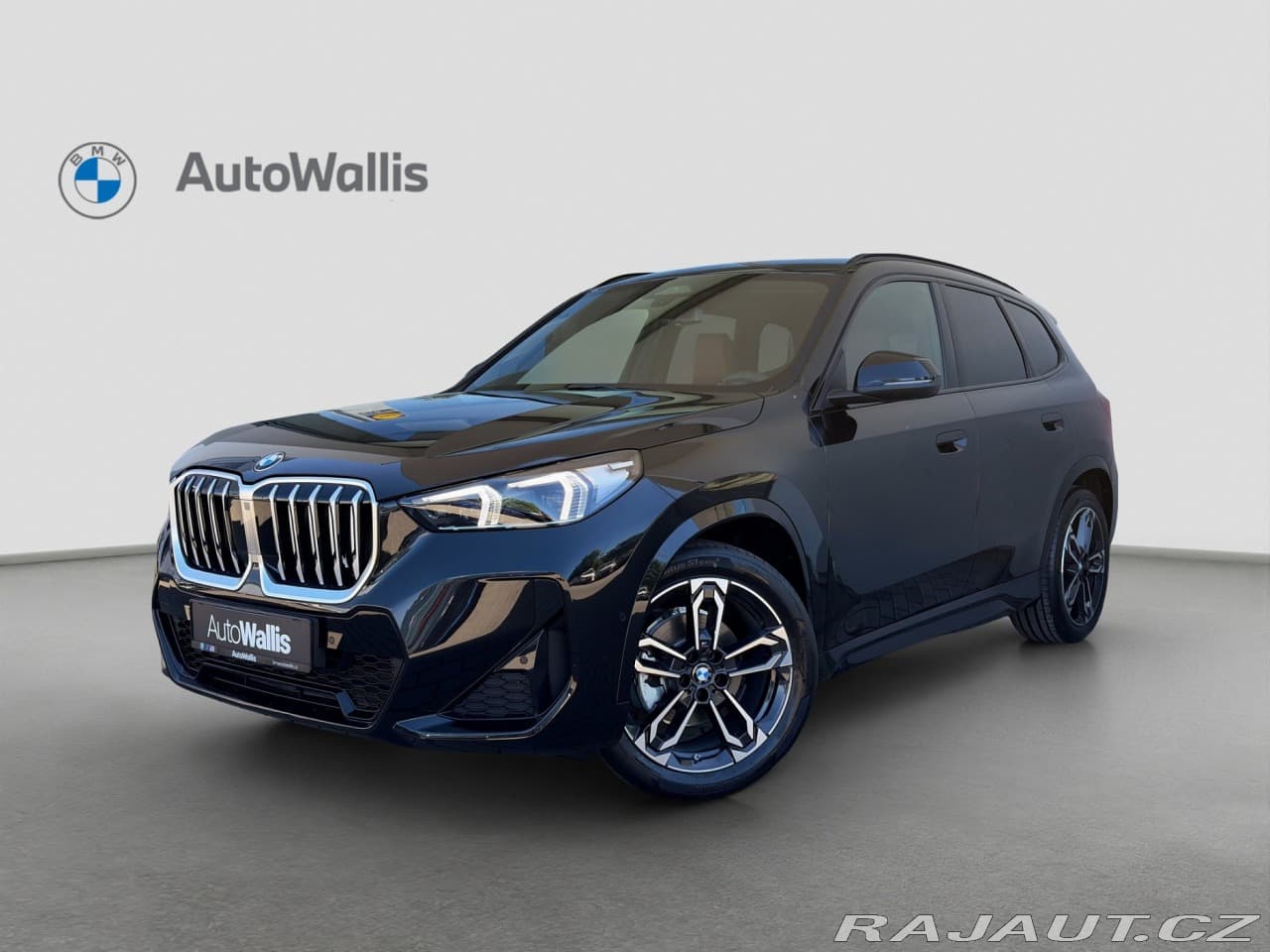 2025 BMW X1