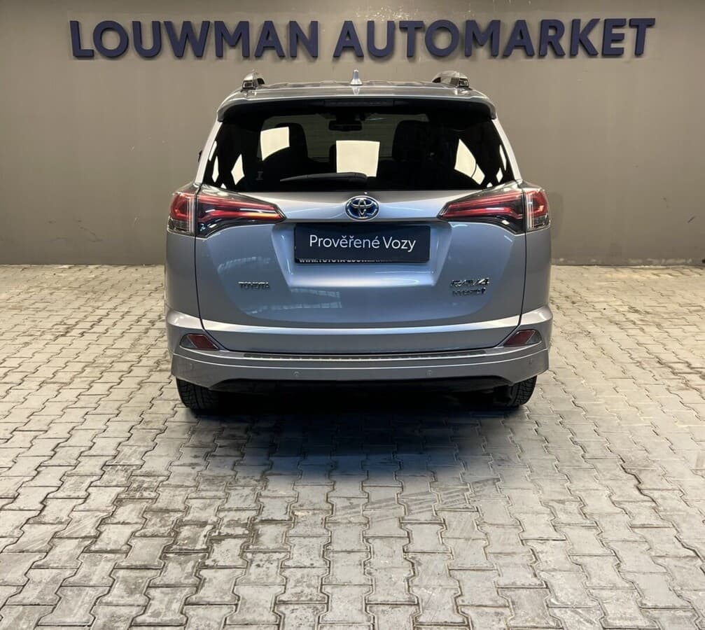 2018 Toyota RAV4 - 16