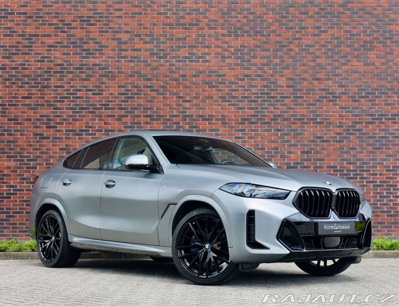 2023 BMW X6