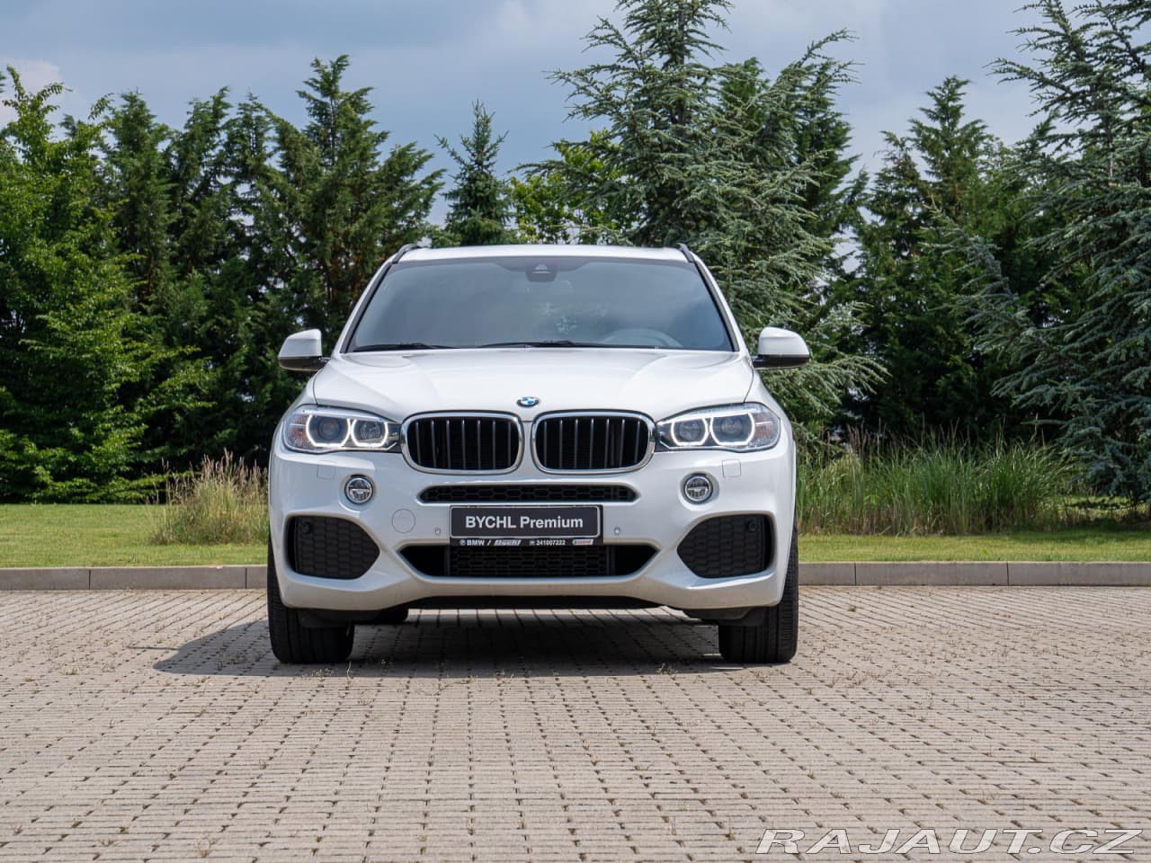 2017 BMW X5 - 4