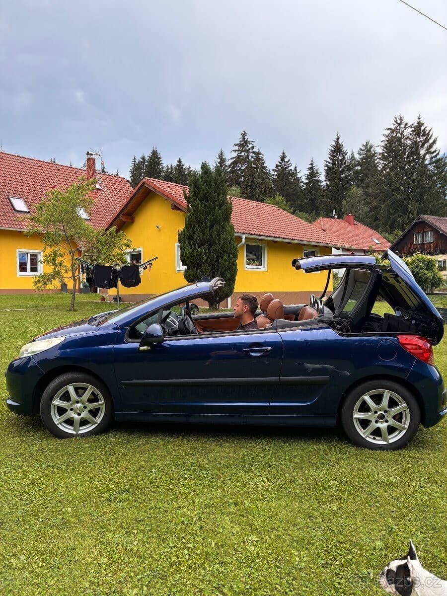 Peugeot 207 - 11