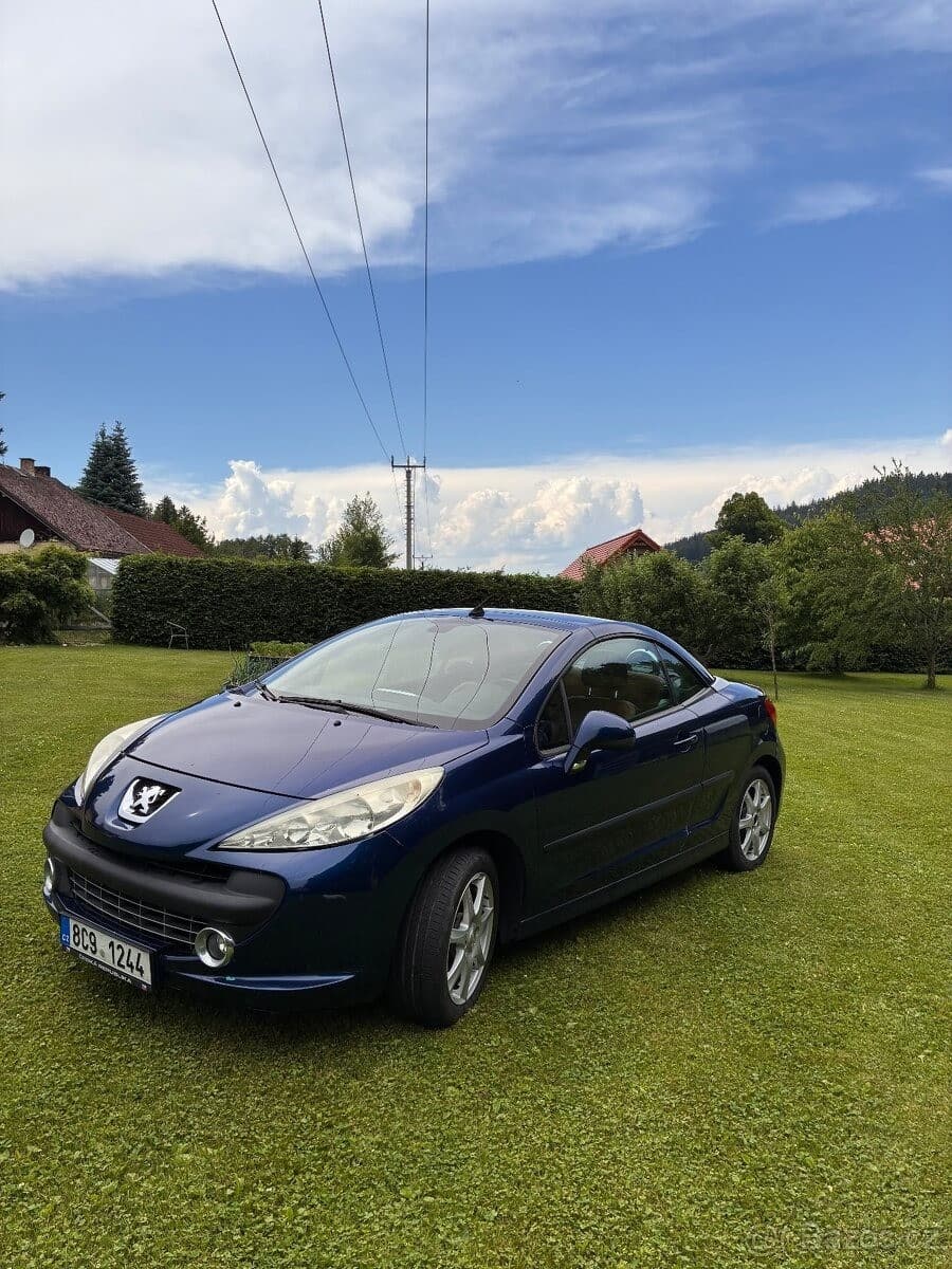 Peugeot 207 - 3
