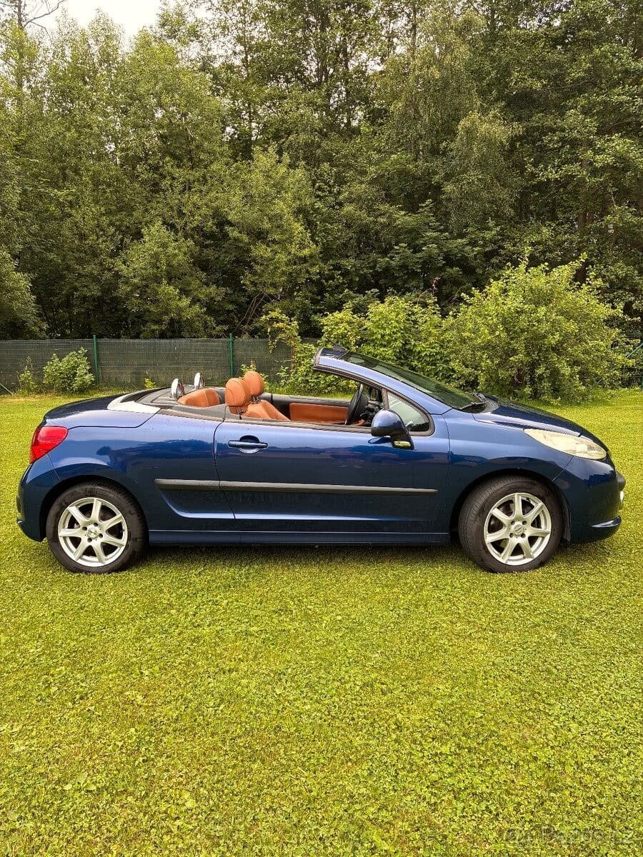 Peugeot 207 - 4