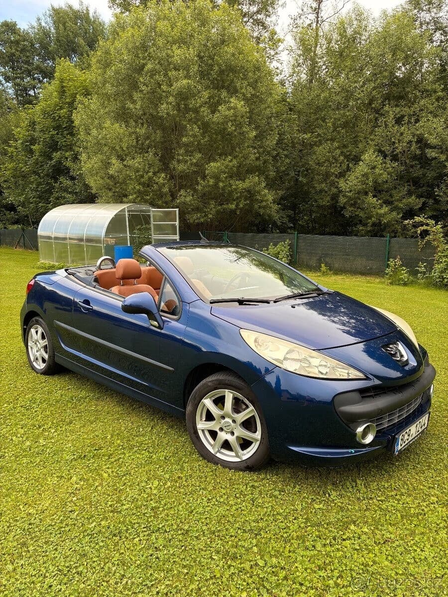 Peugeot 207 - 5