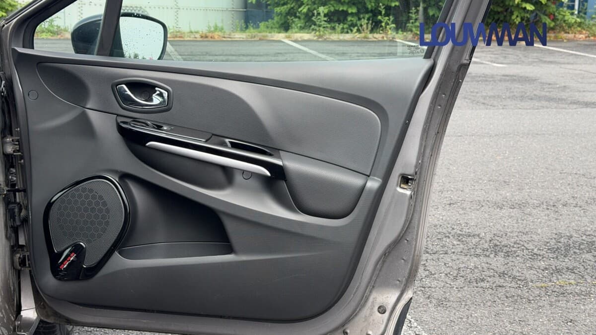 2015 Renault CLIO - 15