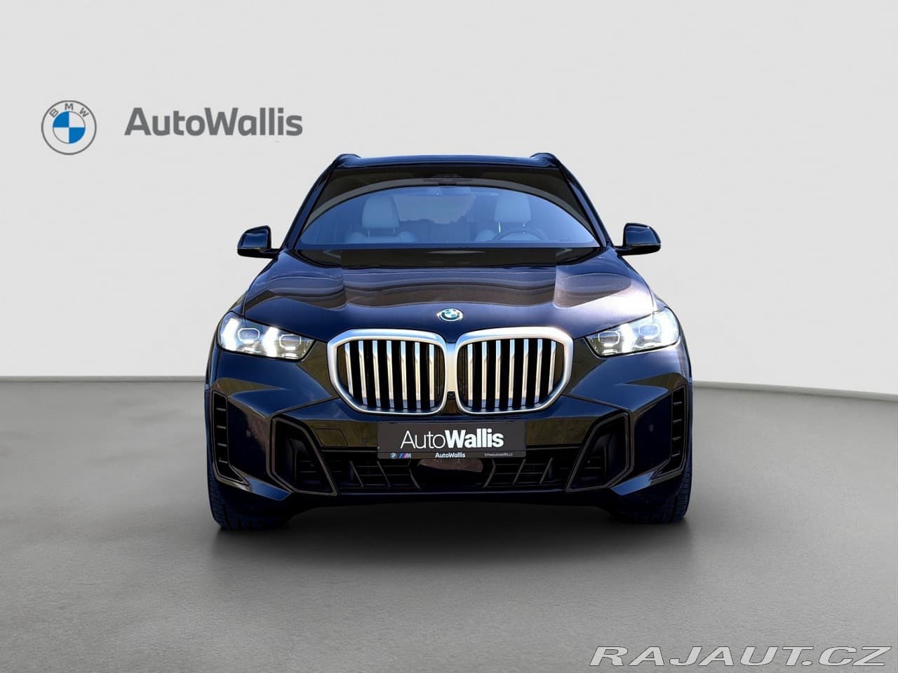 2025 BMW X5 - 7