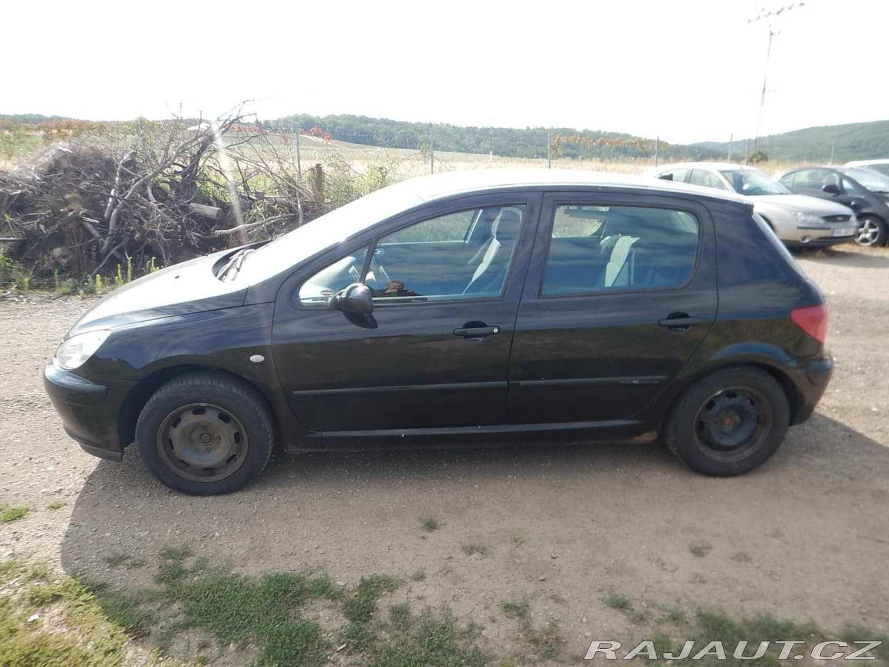 2005 Peugeot 307