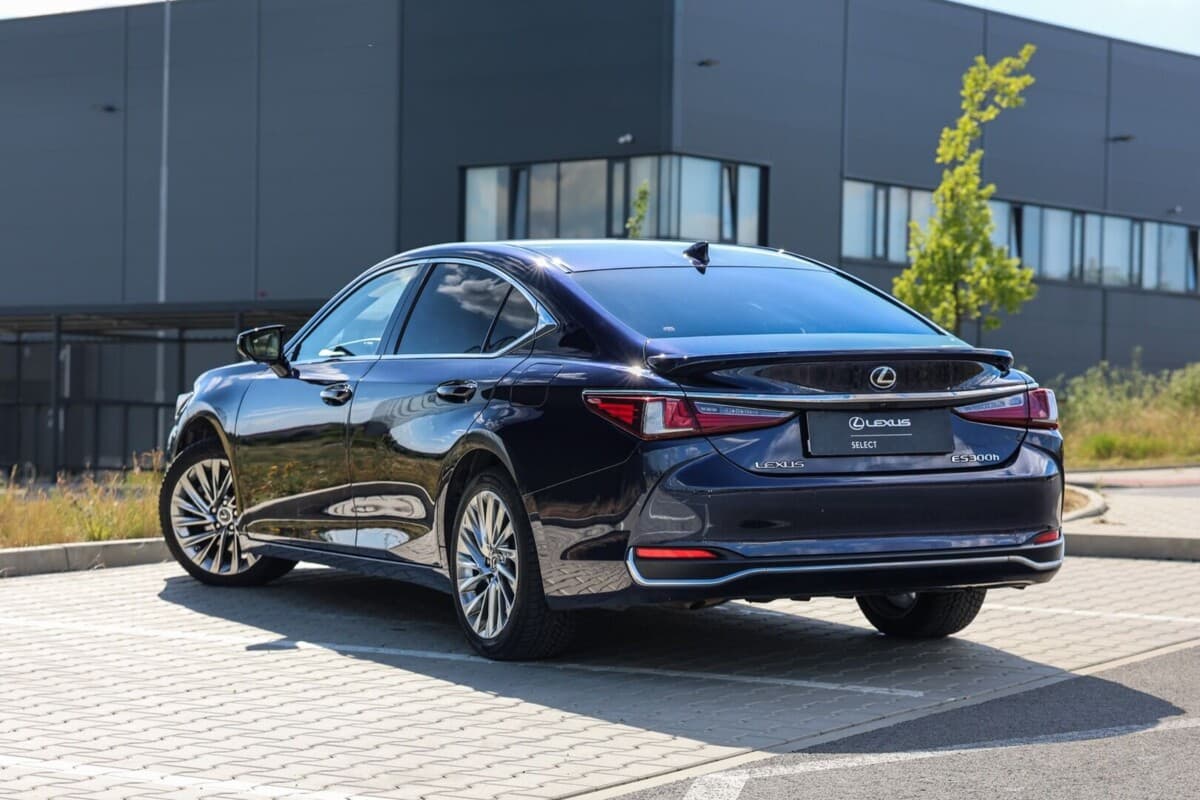 2024 Lexus OSTATNÍ - 6