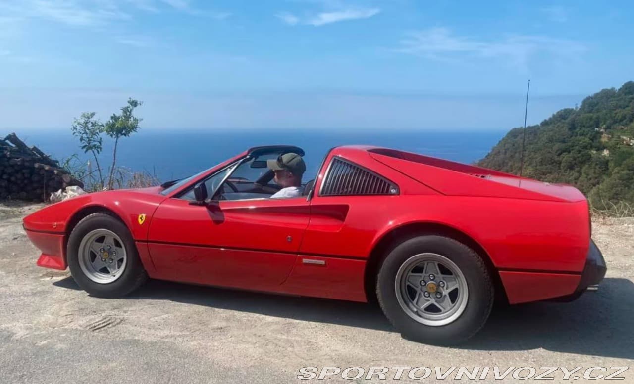 1981 Ferrari 208/308 - 9