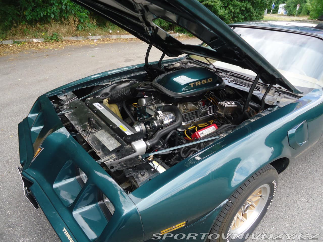 1979 Pontiac Firebird - 10