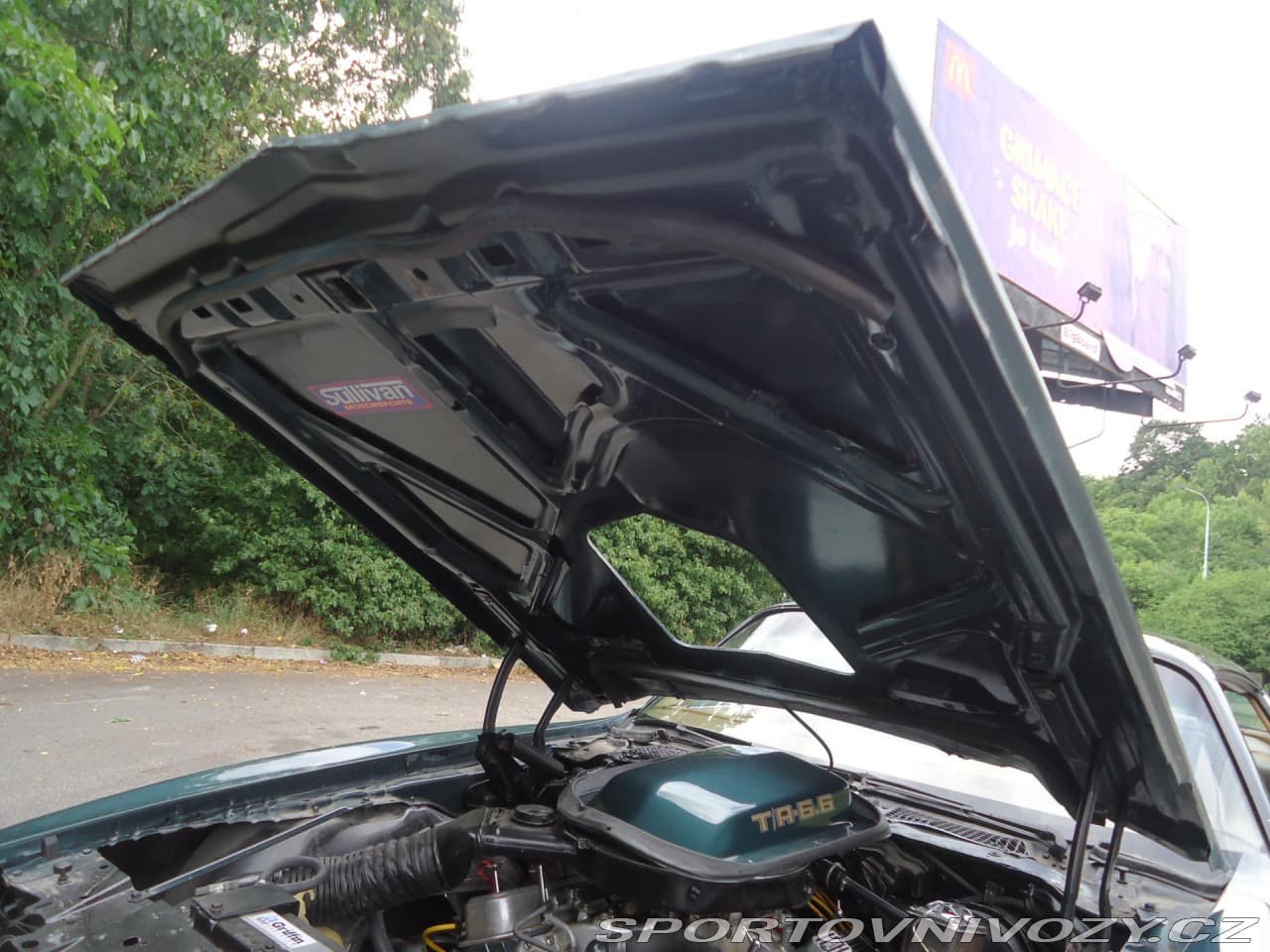 1979 Pontiac Firebird - 11