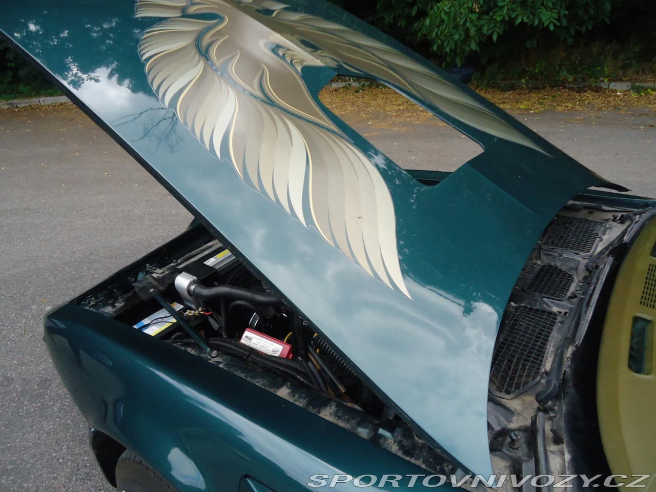 1979 Pontiac Firebird - 12