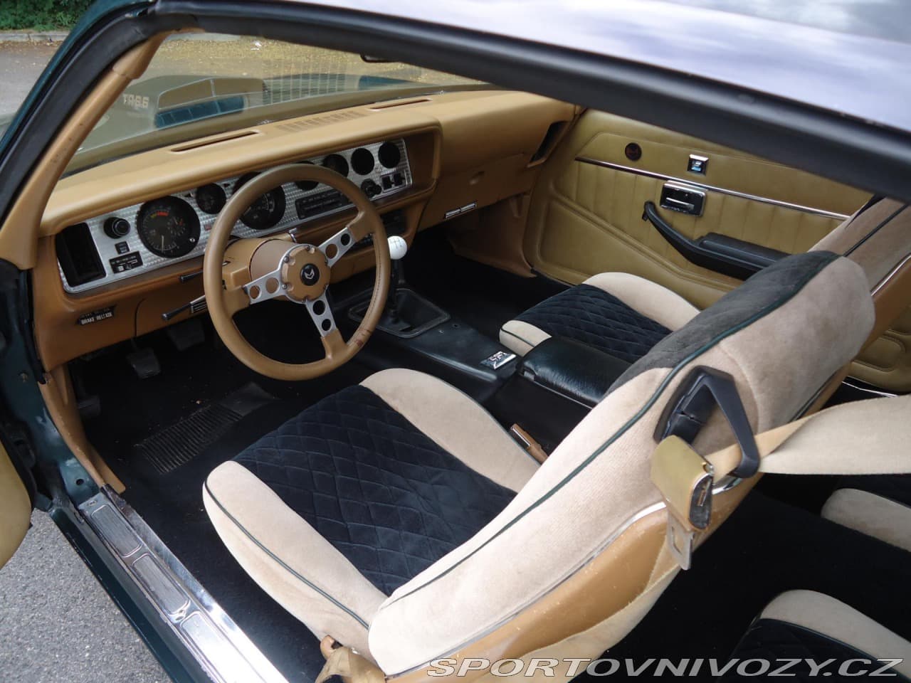 1979 Pontiac Firebird - 13