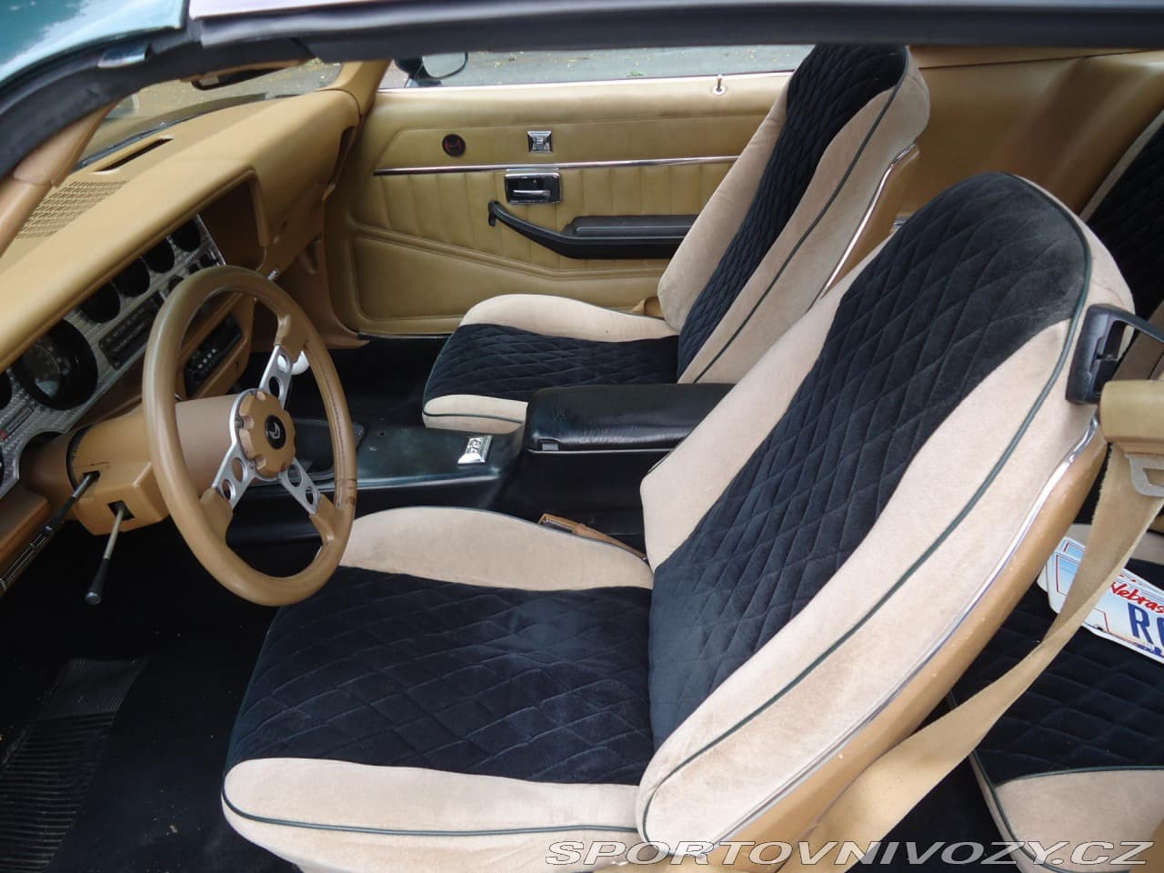 1979 Pontiac Firebird - 14