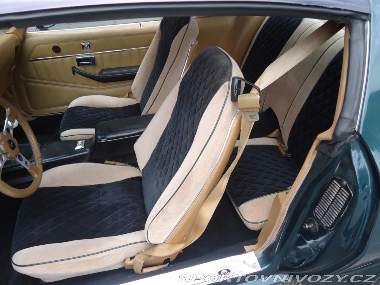 1979 Pontiac Firebird - 16