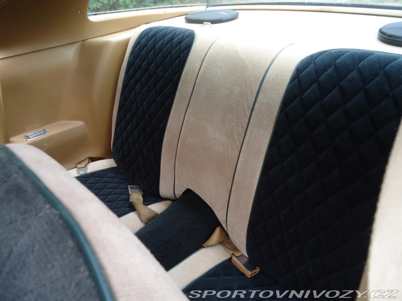 1979 Pontiac Firebird - 17