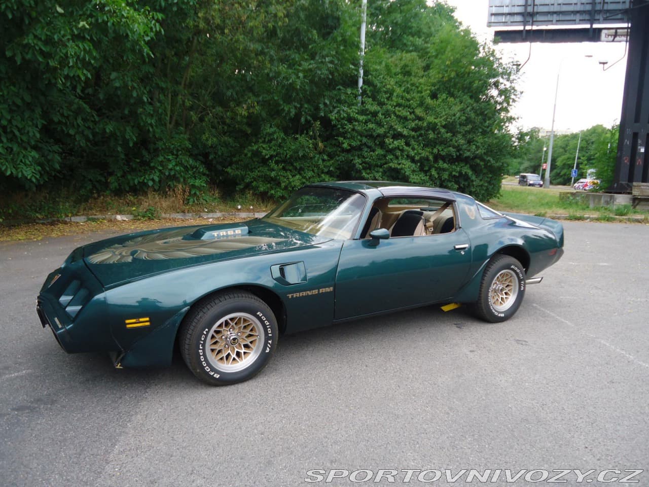 1979 Pontiac Firebird - 2