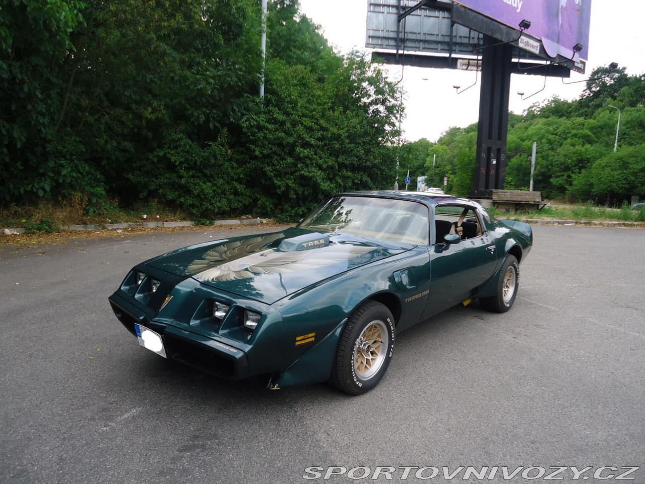 1979 Pontiac Firebird - 3